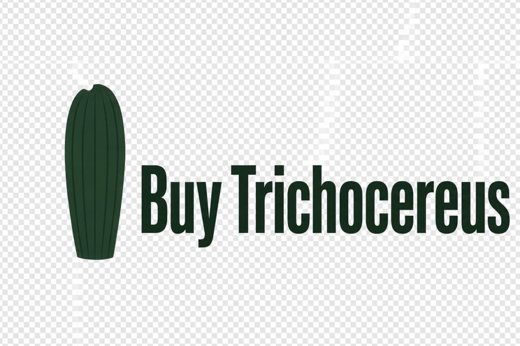 buytrichocereus.com